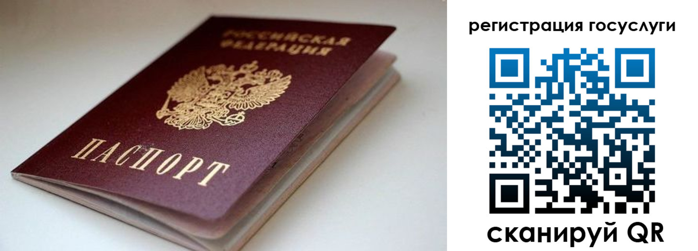 форма 3 в Новосибирской области